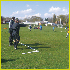 Coaches Technical Area