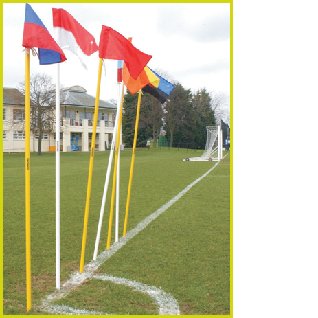 Flexi Corner Poles