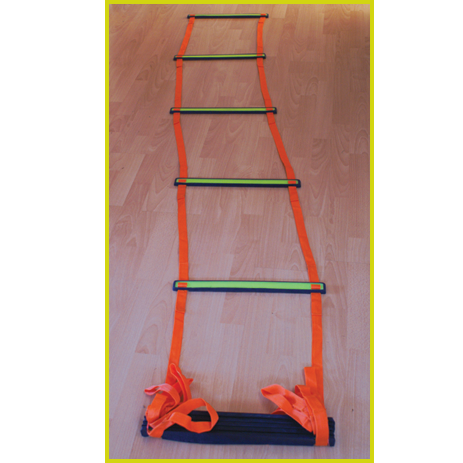 Indoor Ladder