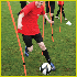 Spring Loaded Slalom Pole