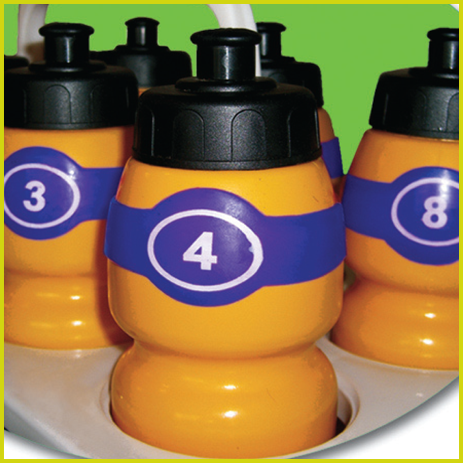 Squad Numbered Water Bottle Tags