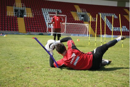 Superflex Poles