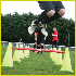 Traffic Cone Pole Set
